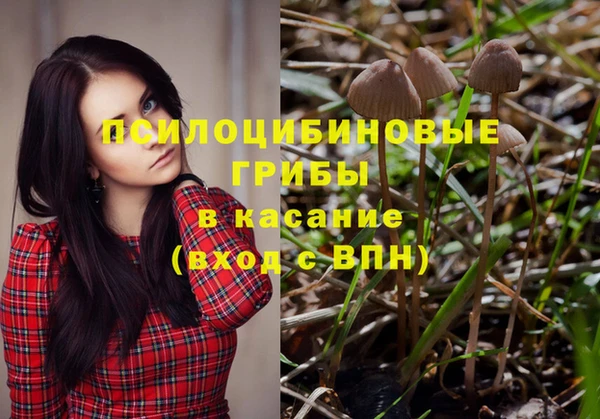 ГАЛЛЮЦИНОГЕННЫЕ ГРИБЫ Балахна