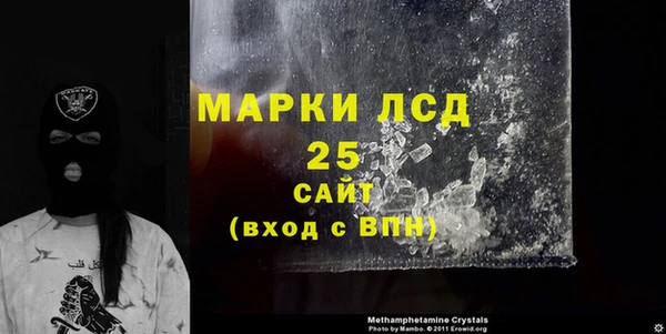 ГАЛЛЮЦИНОГЕННЫЕ ГРИБЫ Балахна