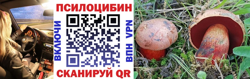 Купить  Асбест  Псилоцибиновые грибы мицелий 